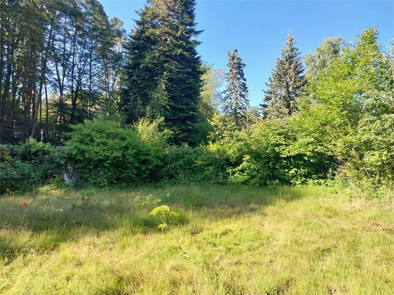 Garten Etagenwohnung Kaiserslautern